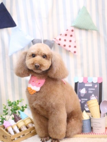 20250508まろんちゃん